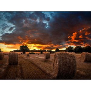 samsung vm55b u 55, video wall profeisonal